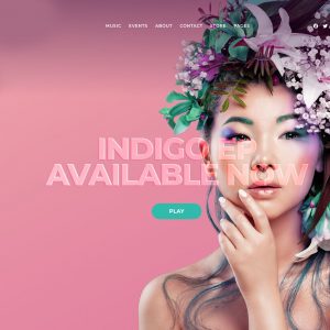 Site Web Artiste Disque de Diamant E-commerce