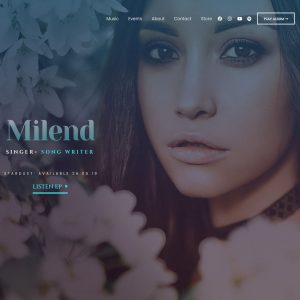 Site Web Artiste disque de Platine
