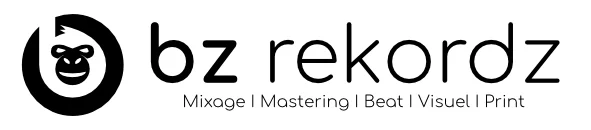 Bz Rekordz